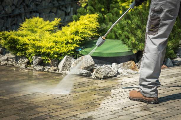 Best Dumpster Area Cleaning  in Gower, MO